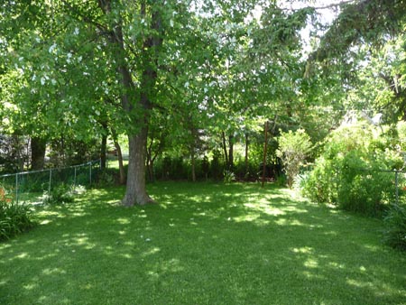 1 z Back Yard
